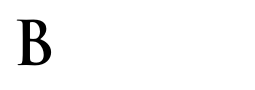 Beverlys Esthetics Laser